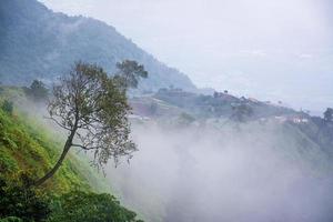 paysage de brouillard et de montagne, en thaïlande photo