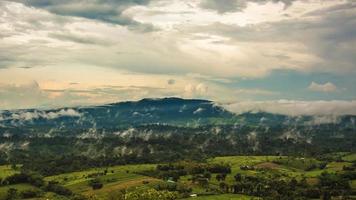 montagnes avec arbres et brouillard en thaïlande photo