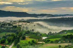 montagnes avec arbres et brouillard en thaïlande photo