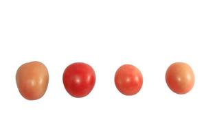 tomates isolés sur fond blanc et un tracé de détourage. photo