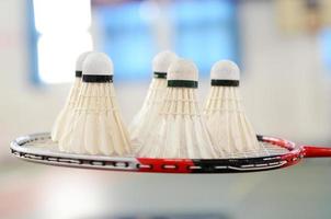 badminton photo