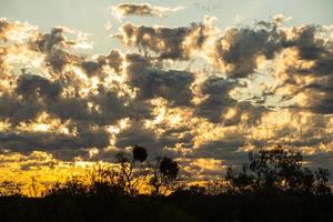 beau ciel au crépuscule et arbre de brousse silhouette dans le territoire du nord, australie. photo