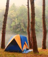 camping dans la forêt