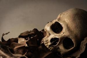 crâne avec feuille sèche, nature morte photo