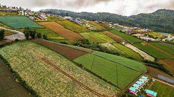 une vue aérienne de la zone agricole photo