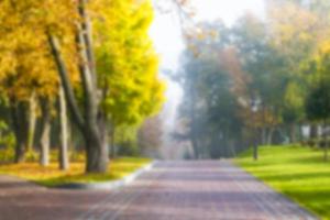 arbres colorés dans le parc, arrière-plan flou, concept de vacances, espace de copie photo