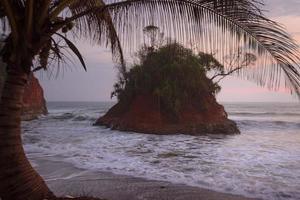 plage de bengkulu avec coucher de soleil et cocotiers photo