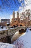 panorama du parc central de new york city manhattan en hiver photo