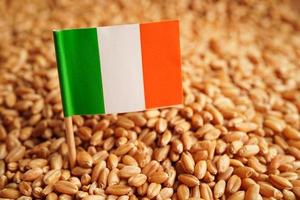 grains de blé avec drapeau irlandais, exportation commerciale et concept d'économie. photo