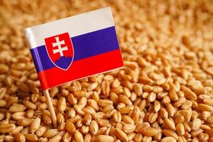 grains de blé avec drapeau de la slovaquie, exportation commerciale et concept d'économie. photo