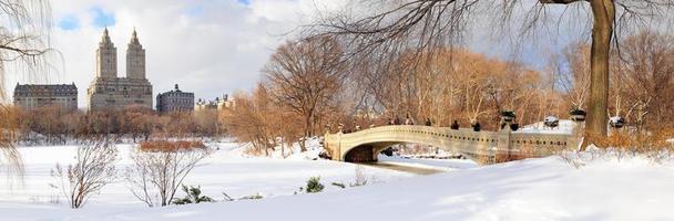 panorama du parc central de new york city manhattan en hiver photo