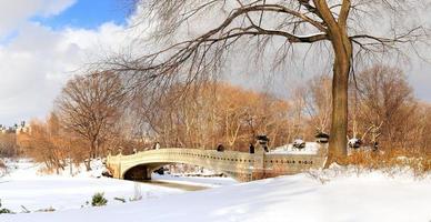 panorama du parc central de new york city manhattan en hiver photo