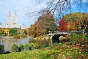 new york city manhattan parc central photo