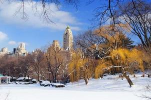 panorama du parc central de manhattan à new york photo