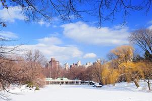 panorama du parc central de manhattan à new york photo