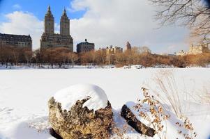 new york city manhattan central park en hiver photo