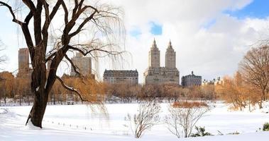 new york city manhattan central park en hiver photo