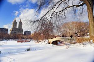 panorama du parc central de new york city manhattan en hiver photo