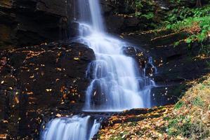 cascade d'automne en montagne photo