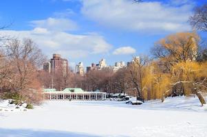 panorama du parc central de manhattan à new york photo