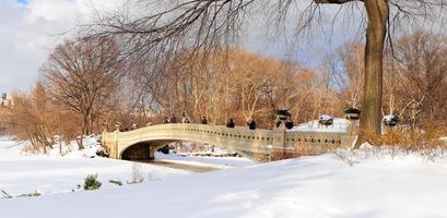 panorama du parc central de new york city manhattan en hiver photo