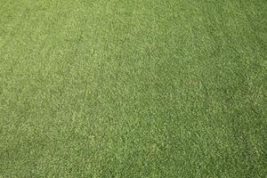fond de texture d'herbe verte. gazon artificiel vert. photo