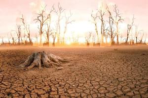 le concept du réchauffement climatique et de la sécheresse et de la pauvreté et des pénuries alimentaires. les sols arides aux climats chauds ont un globe dépourvu d'espaces verts. photo