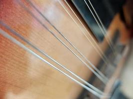 millésime: gros plan de mandoline