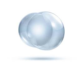 bulles de savon ou d'eau transparentes sur fond blanc photo