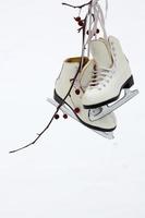 chaussures et lames de patinage sur glace