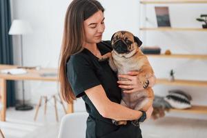 femme tenant le chien dans les mains. le carlin est dans le salon de toilettage avec un vétérinaire qui porte des vêtements noirs photo