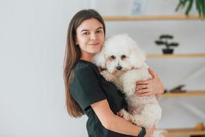 conception du soin. mignon petit chien est dans le studio de toilettage photo