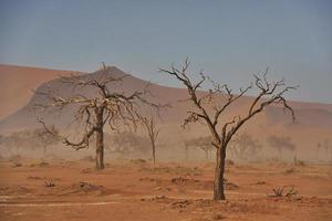 grande distance. vue majestueuse sur des paysages incroyables dans le désert africain photo