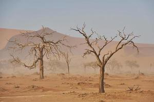 grande distance. vue majestueuse sur des paysages incroyables dans le désert africain photo