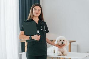 femme médecin est avec bloc-notes. mignon petit chien est dans la clinique vétérinaire photo