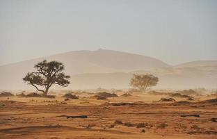 grande distance. vue majestueuse sur des paysages incroyables dans le désert africain photo
