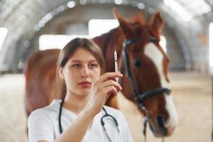 préparer la seringue pour une piqûre. femme médecin en blouse blanche est à cheval sur une écurie photo