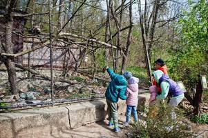 mère de quatre enfants au zoo des oiseaux. photo