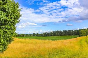 champ agricole nord-allemand forêt arbres nature paysage panorama allemagne. photo