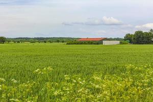 champ agricole nord-allemand forêt arbres nature paysage panorama allemagne. photo