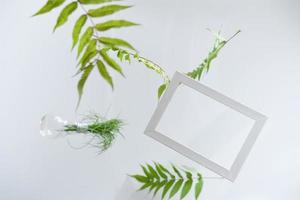 fond de belles feuilles vertes volantes avec cadre blanc. photo