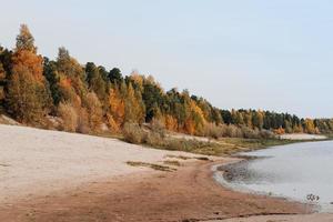 belle saison d'automne au bord de la rivière. arbres forestiers jaunes et oranges photo