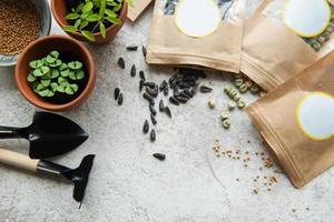 graines de micropousses dans des sacs en papier et équipement pour semer des micropousses. photo