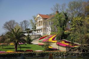 tulipes colorées dans le parc emirgan, istanbul, turquie photo