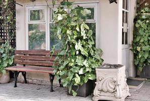 un banc dans un parc et une plante en pot près de la maison du gardien du jardin. photo