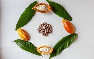 demi-cosses de cacao et fruits de cacao avec fèves de cacao brun photo