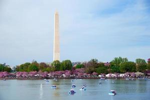 vue sur washington dc photo