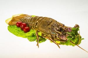 langoustes crues photo