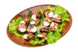 escargots escargots sur une assiette photo