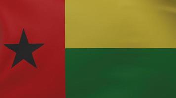 texture du drapeau de la guinée-bissau photo